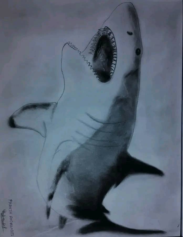 Artwork 1